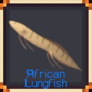 African Lungfish