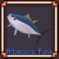 Albacore Tuna