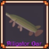 Alligator Gar