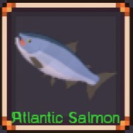 Atlantic Salmon