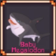 Baby Megalodon
