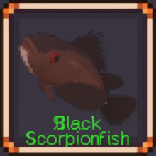 Black Scorpionfish