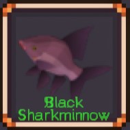 Black Shark Minnow