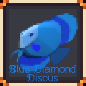 Blue Diamond Discus