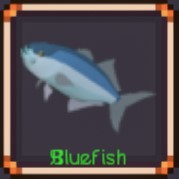 Bluefish