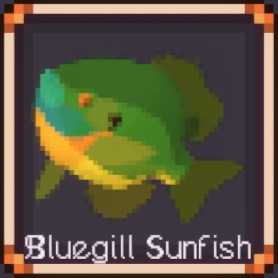 Bluegill Sunfish