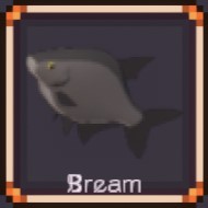 Bream