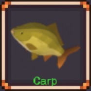 Carp