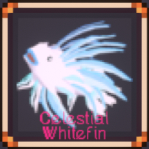 Celestial Whitefin