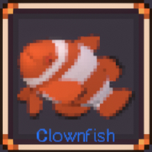 Clownfish