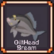 GiltHead Bream