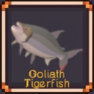 Goliath Tigerfish