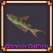 Goonch Catfish