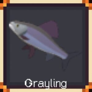 Grayling