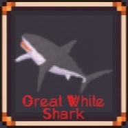 Great White Shark