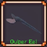 Gulper Eel
