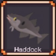 Haddock