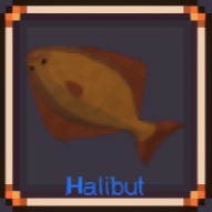Halibut