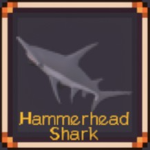 Hammerhead Shark