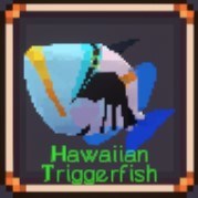 Hawaiian Triggerfish
