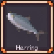 Herring