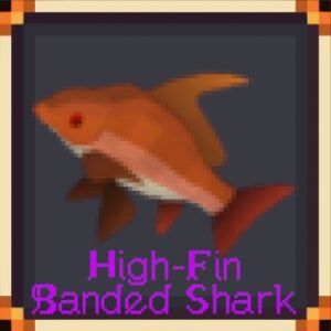 High-Fin Banded Shark