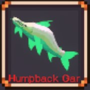 Humpback Gar