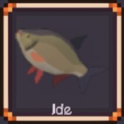 Ide