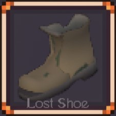 Lost Shoe
