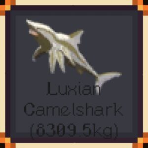 Luxian Camelshark