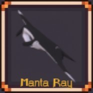 Manta Ray