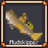 Mudskipper