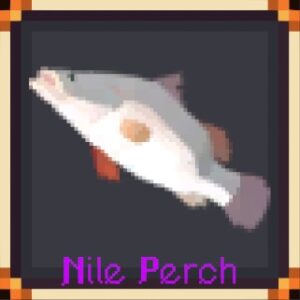 Nile Perch
