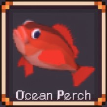 Ocean Perch