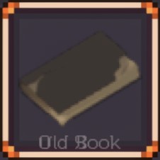 Old Book