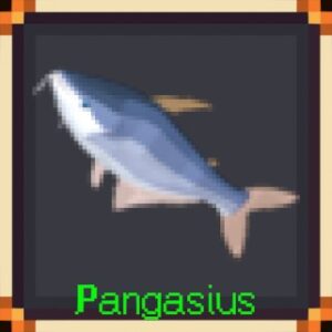 Pangasius