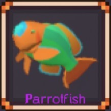 Parrotfish