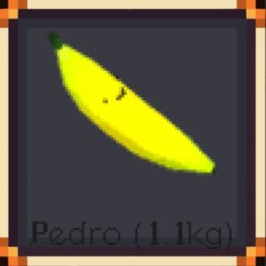 Pedro