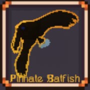 Pinnate Batfish
