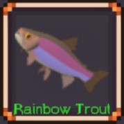 Rainbow Trout