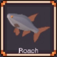 Roach