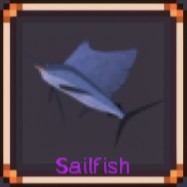 Sailfish
