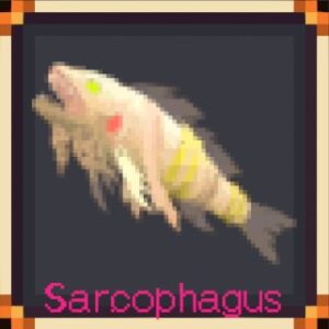 Sarcophagus