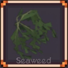 Seaweed