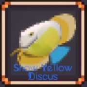 Snow Yellow Discus