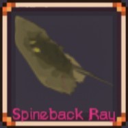 Spineback Ray