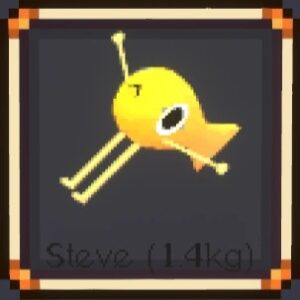 Steve