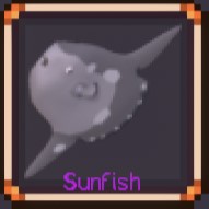 Sunfish
