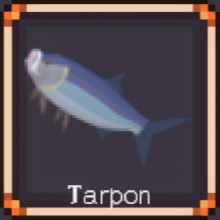 Tarpon