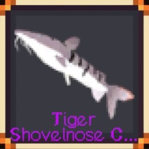 Tiger Shovelnose Catfish